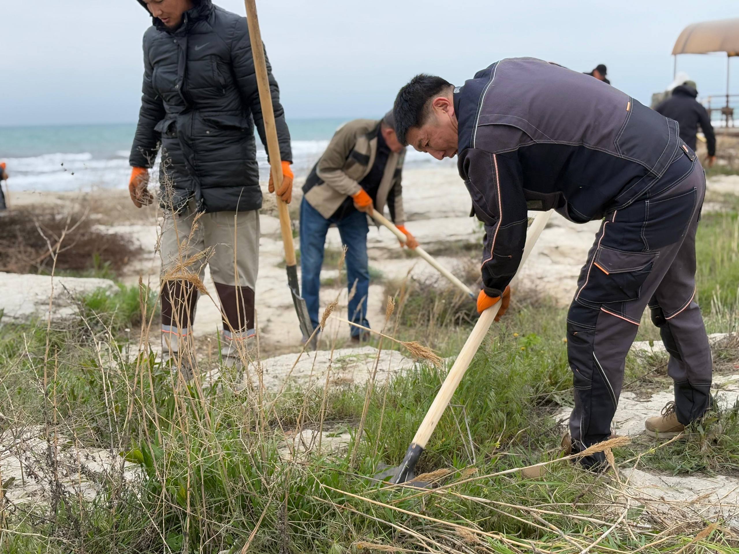 Ақтауда құрылысшылар теңіз жағалауын қоқыстан тазартты