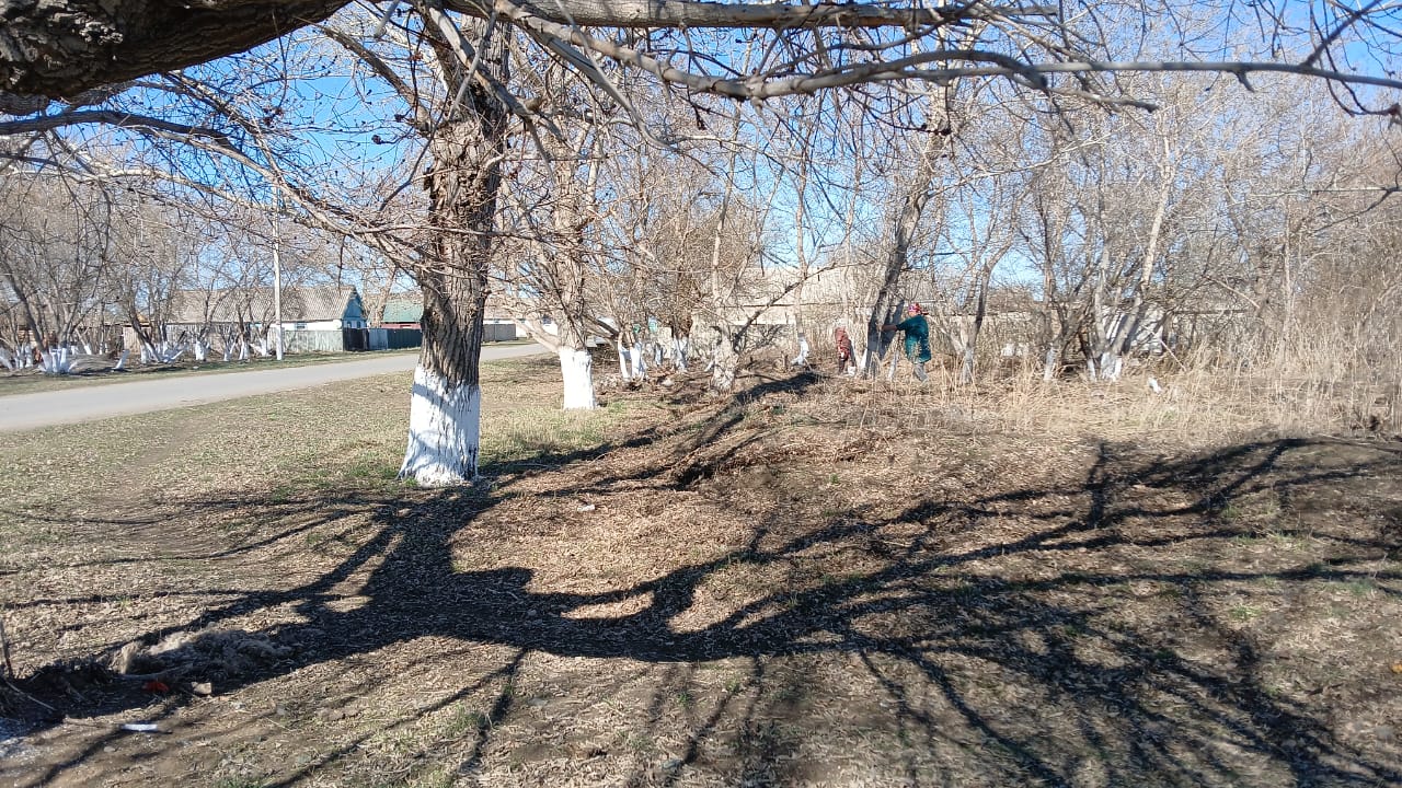 Елді мекенді абаттандыру