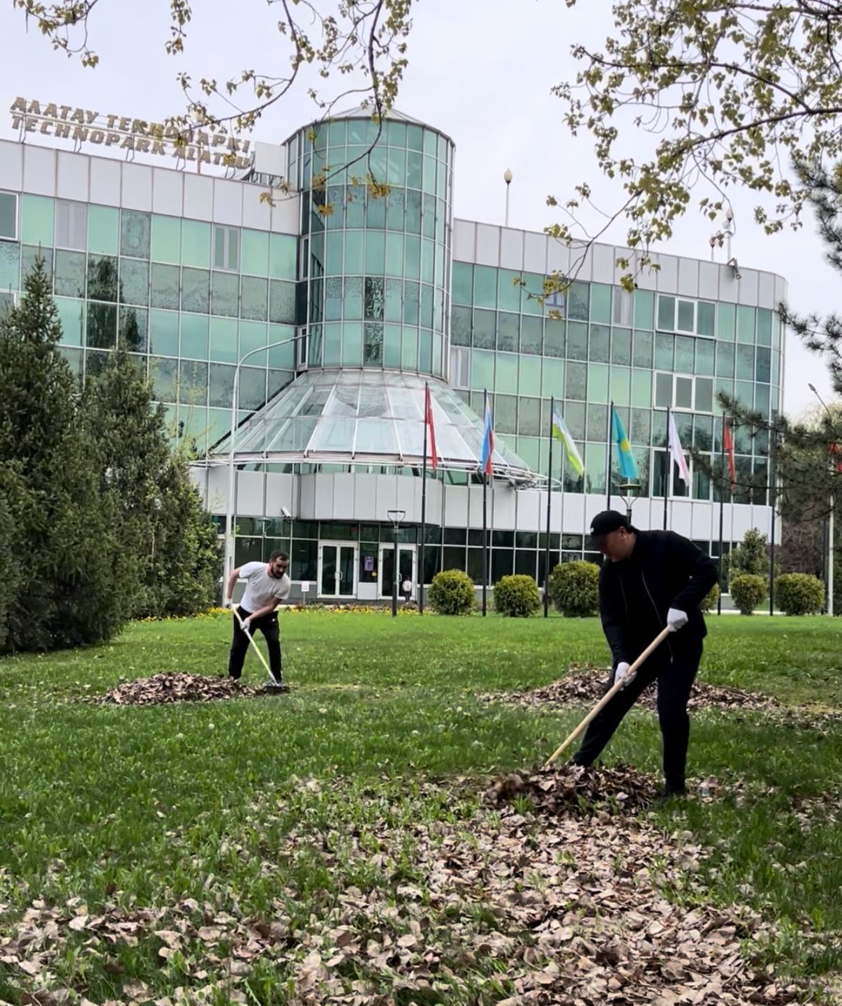 Бизнес таза қала үшін: Алматыда «Алатау» АЭА АТТ қатысушылары сенбілікке шықты