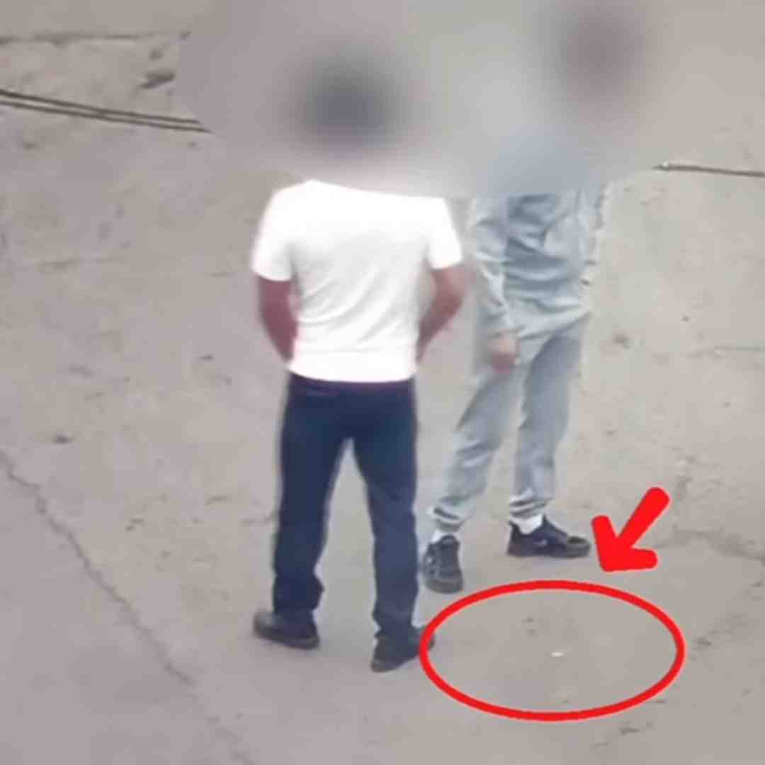 Smart saryarqa: Ауданда «ақылды» қауіпсіздік іске қосылды