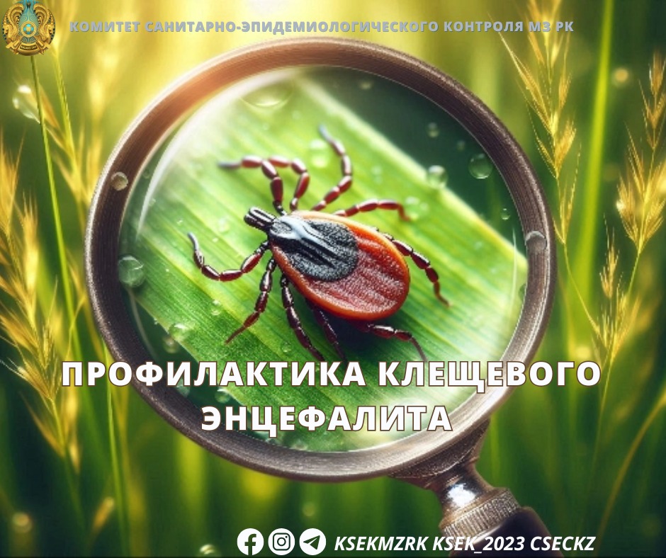 Профилактика клещевого энцефалита