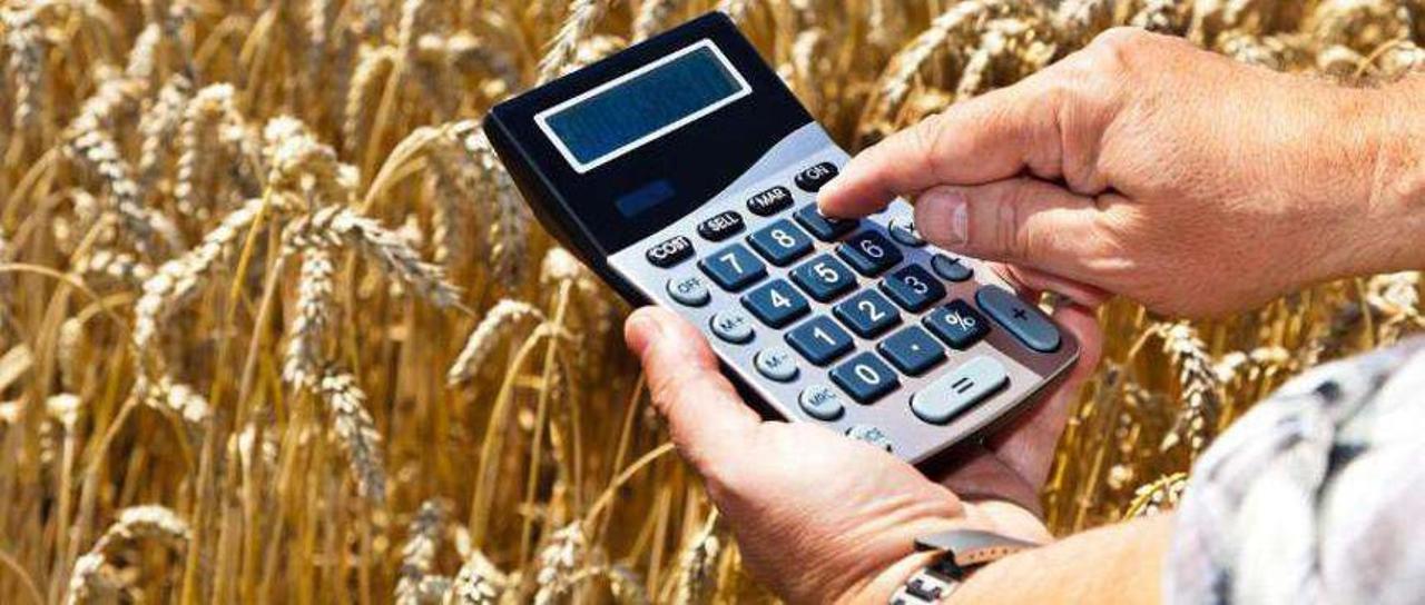 «Gosagro» субсидиялаудың мемлекеттік ақпараттық жүйесінде хабарландыру