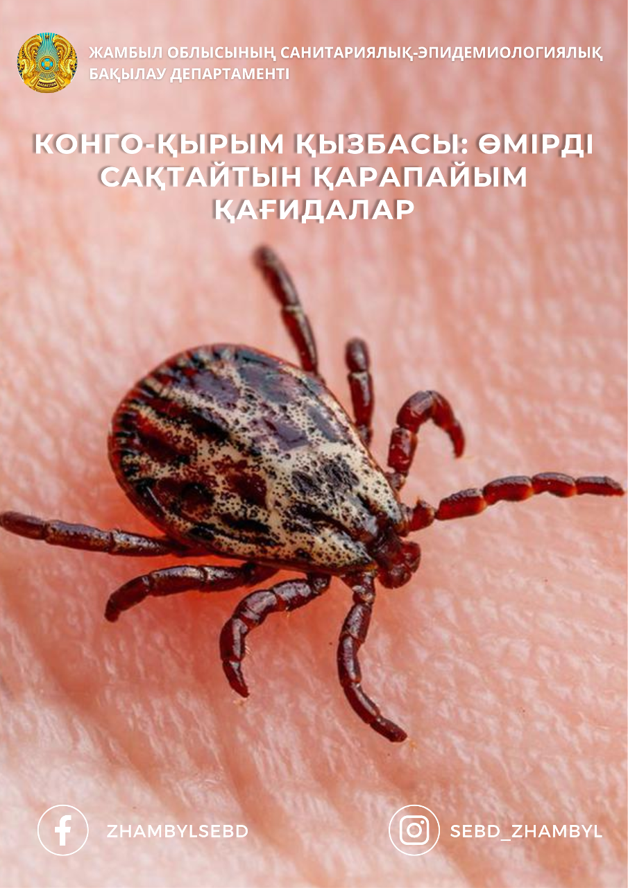 Конго-Қырым қызбасы: өмірді сақтайтын қарапайым қағидалар