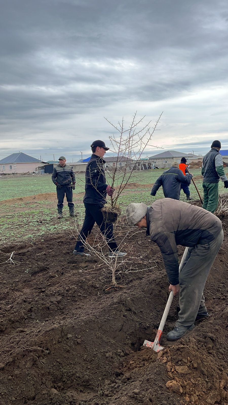 🌳 ТУҒАН ЖЕРДІ ТҮЛЕТУ — ПЕРЗЕНТТІК ПАРЫЗЫМЫЗ!