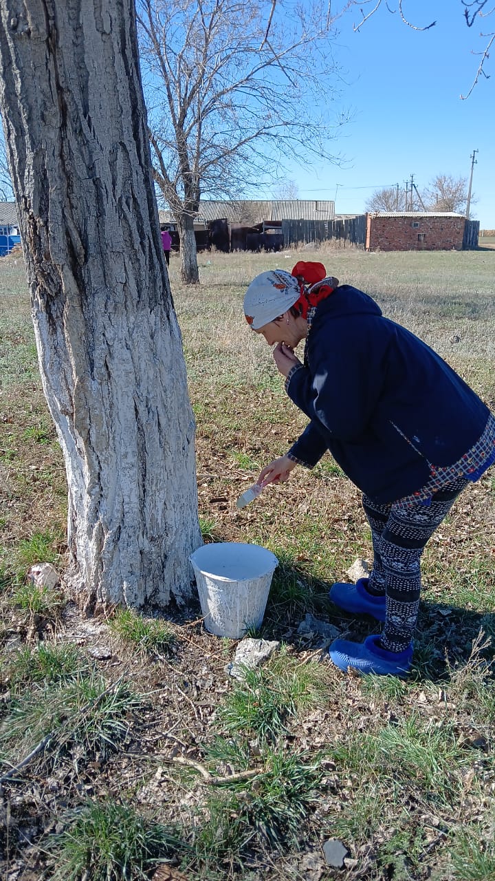 Таза ауыл - жарқын өмір