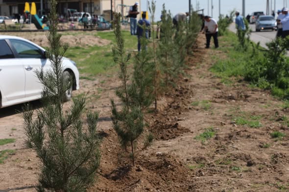 «ТАЗА ҚАЗАҚСТАН»: САРЫАҒАШ АУДАНЫНДА ТАЗАЛЫҚ ШАРАСЫ ӨТТІ