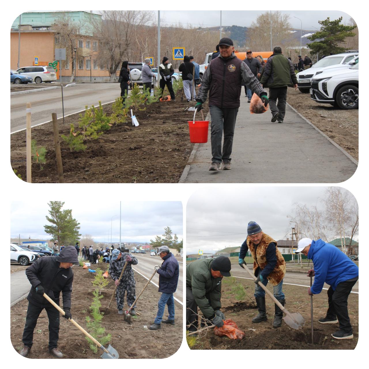 " ТАЗА ҚАЗАҚСТАН" АКЦИЯСЫ АЯСЫНДА БАТЫРЫМЫЗДЫҢ ҚҰРМЕТІНЕ -100 ТҮП ҚАРАҒААЙ !