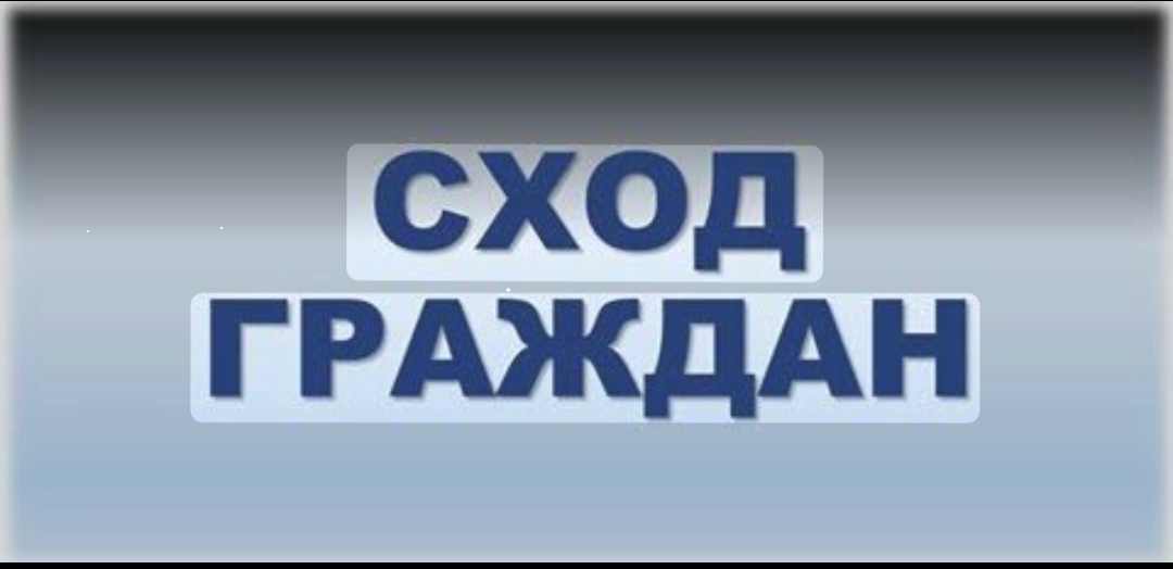 Азаматтар жиналысы