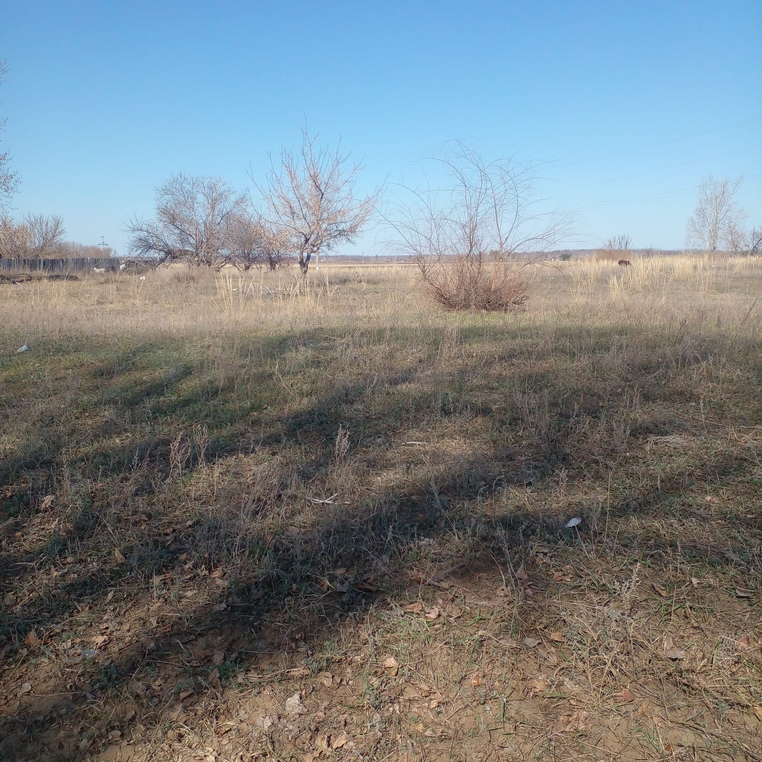 Соснов ауылында қоқысты жинау жұмыстары