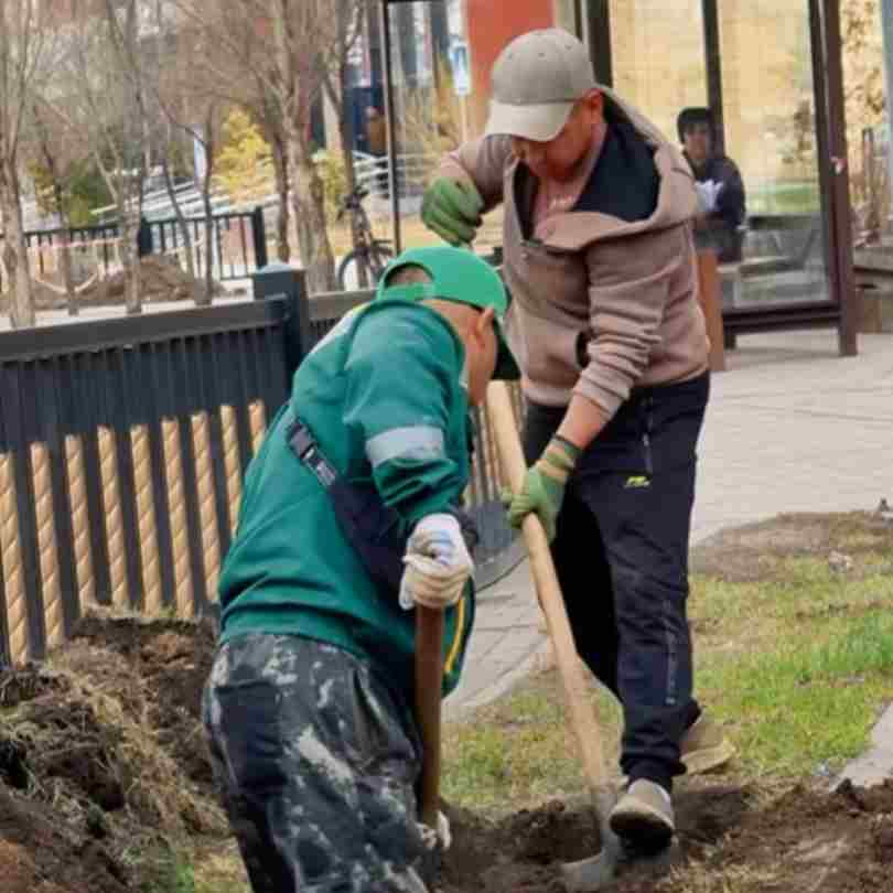 Сарыарқа ауданының жасыл қоры 2 мыңнан астам ағашпен толықтырылады