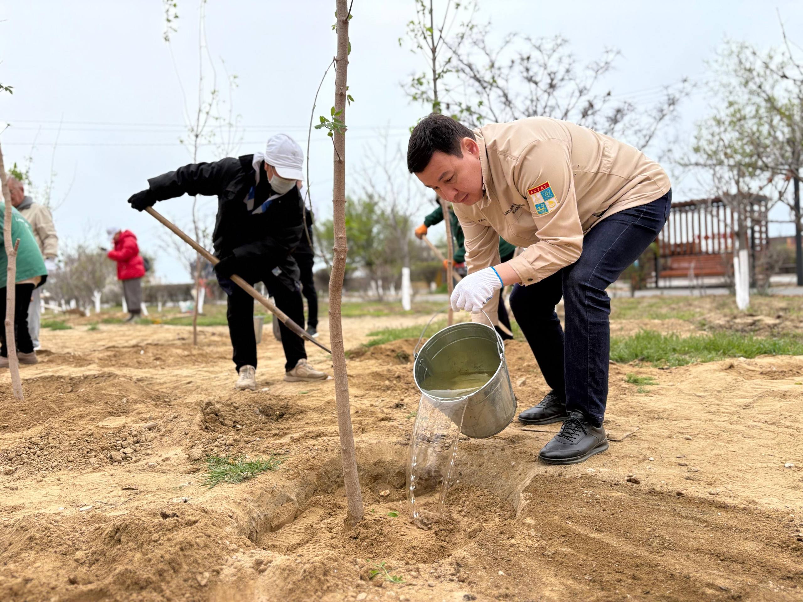 «Таза Қазақстан»: Ақтауда көктем маусымы басталғалы 400-ге жуық ағаш егілді