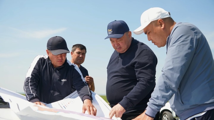 КЕЛЕСТЕ МАРОККО ШЕГІРТКЕСІНЕ ҚАРСЫ КҮРЕС КҮШЕЙТІЛДІ