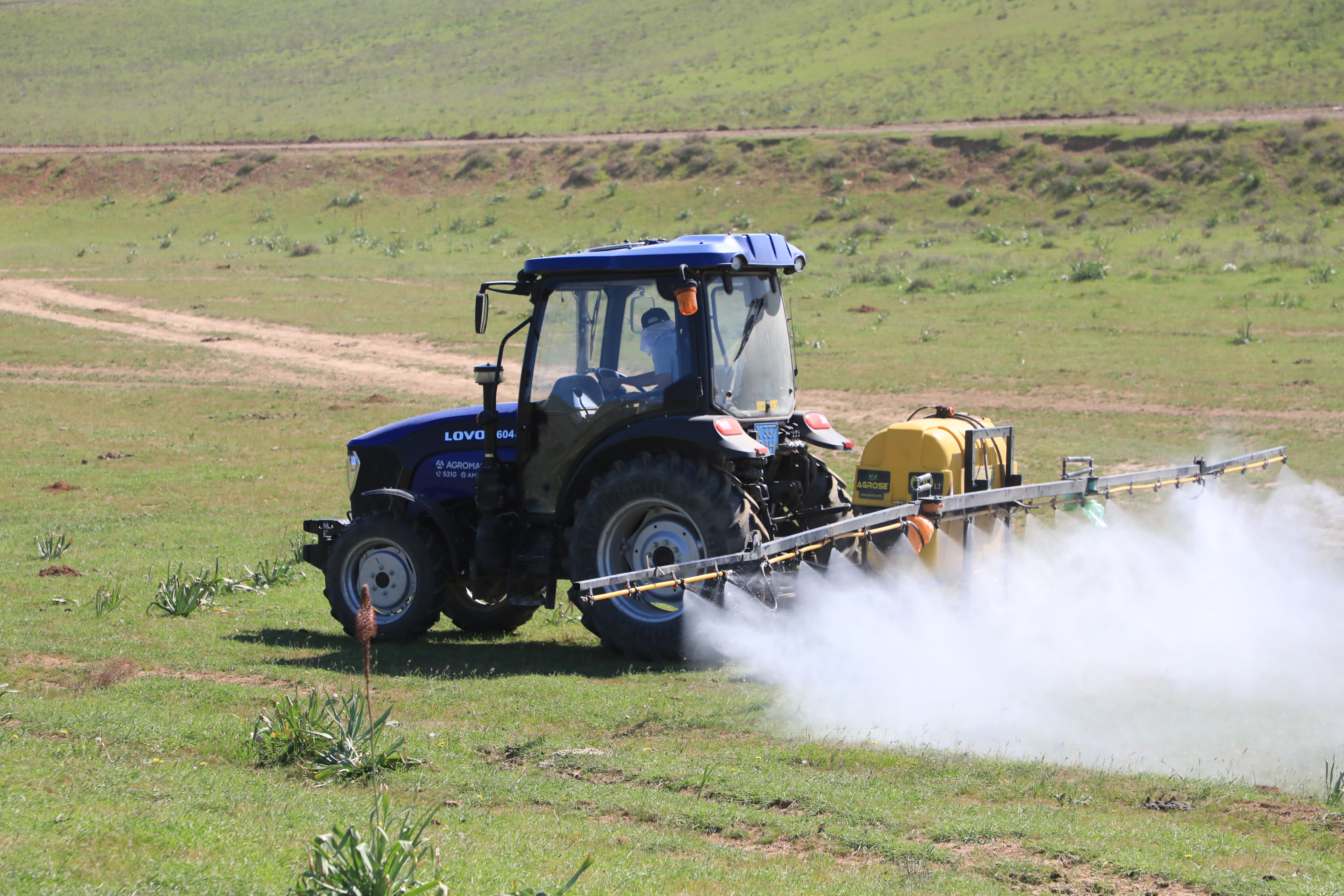 САРЫАГАШ: БОРЬБА С САРАНЧОЙ ВЕДЁТСЯ СИСТЕМНО