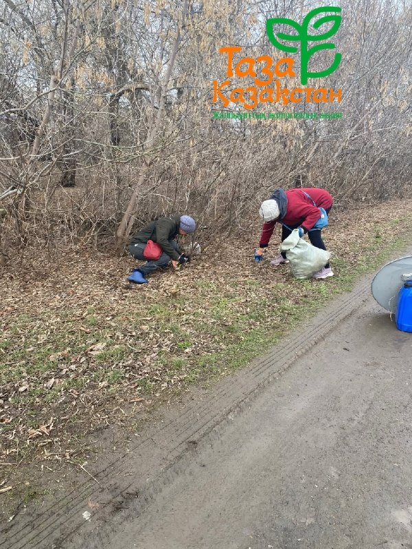 «Таза Қазақстан» республикалық экологиялық бағдарламасы аясында бүгін Свердловка ауылында «Көрдің бе – көтер!» акциясы өтуде.