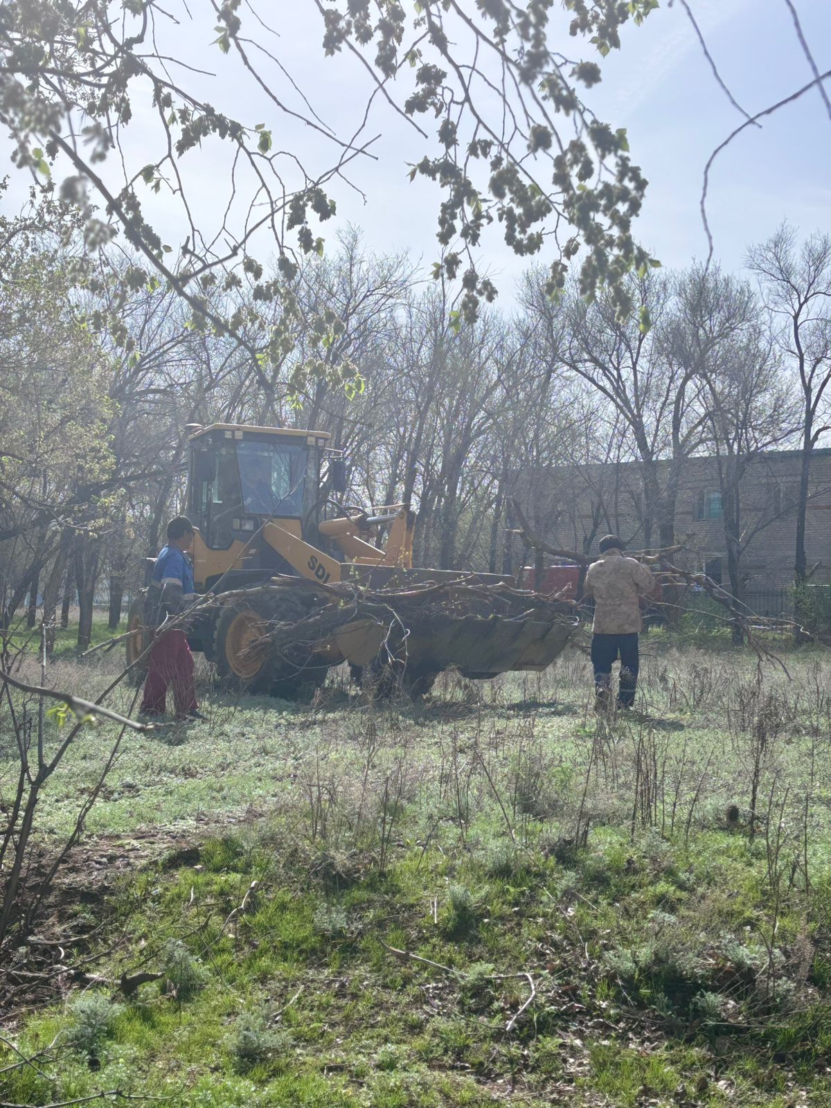 Саябаққа сенбілік жұмыстары жүргізілуде