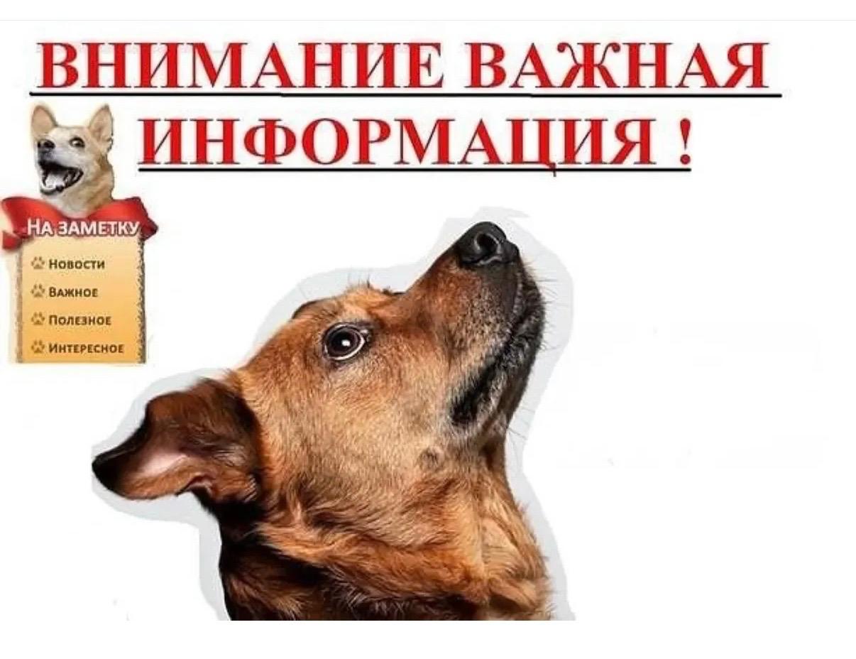 Құрметті Үштөбе қалалық округ тұрғындары