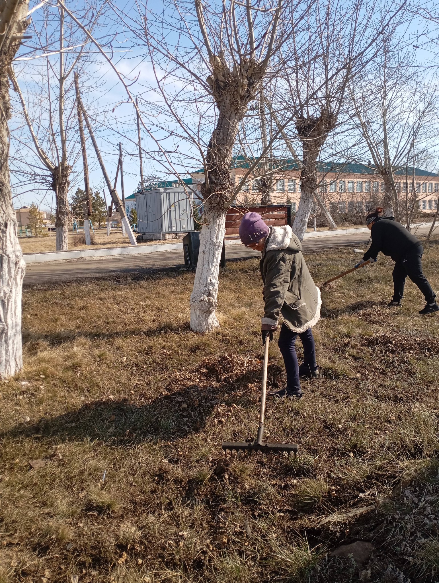 Ауылды абаттандыру