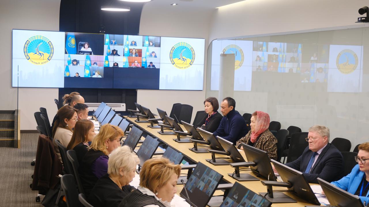 Участие в заседании комиссии по делам женщин и семейно-демографической политики