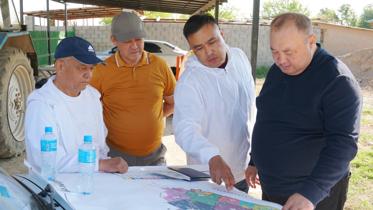 КЕЛЕС: 17 МЫҢ ГЕКТАРДАН АСТАМ АЛҚАП ЗАЛАЛСЫЗДАНДЫРЫЛДЫ