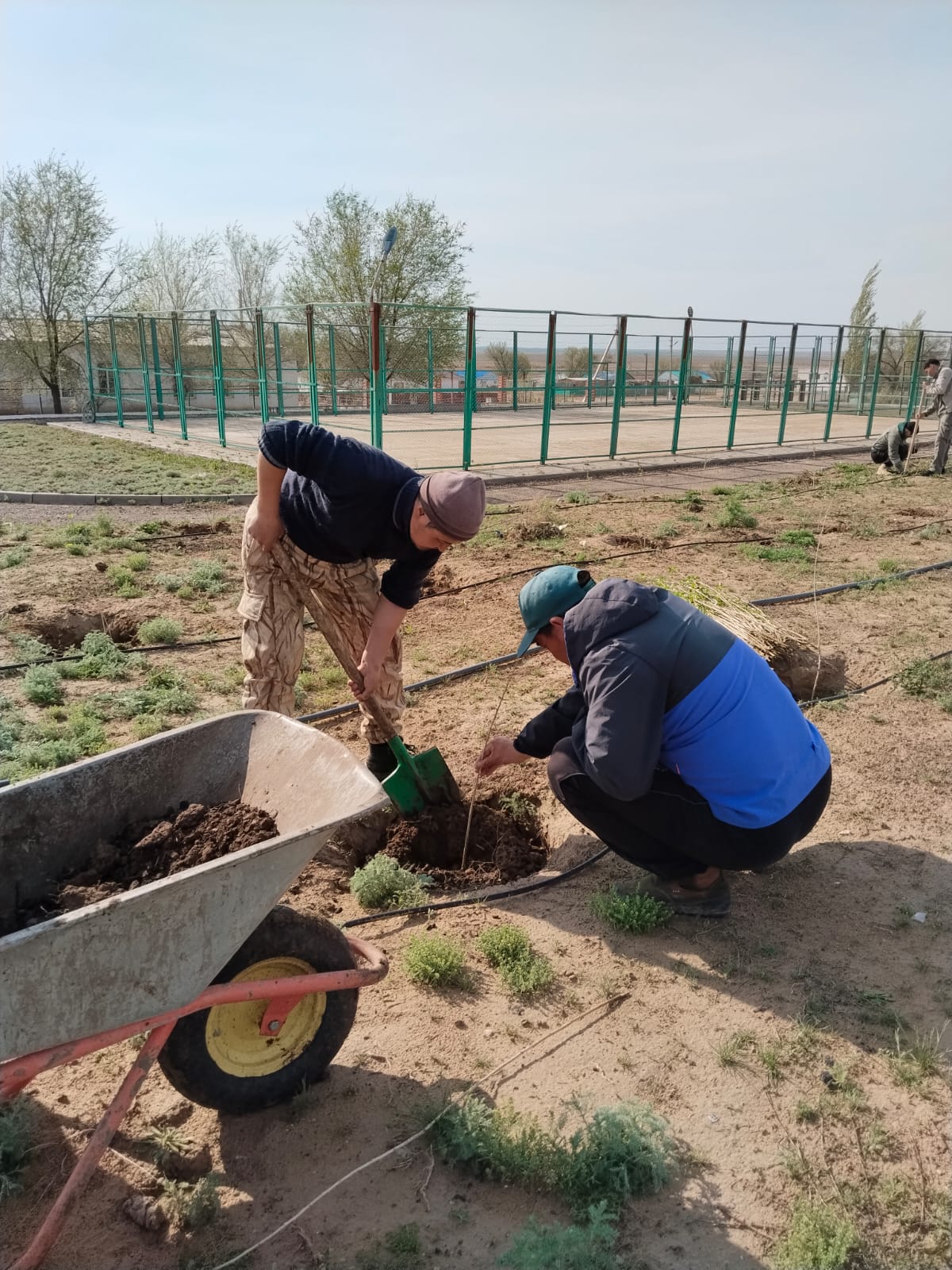 В округе начались работы по посадке деревьев