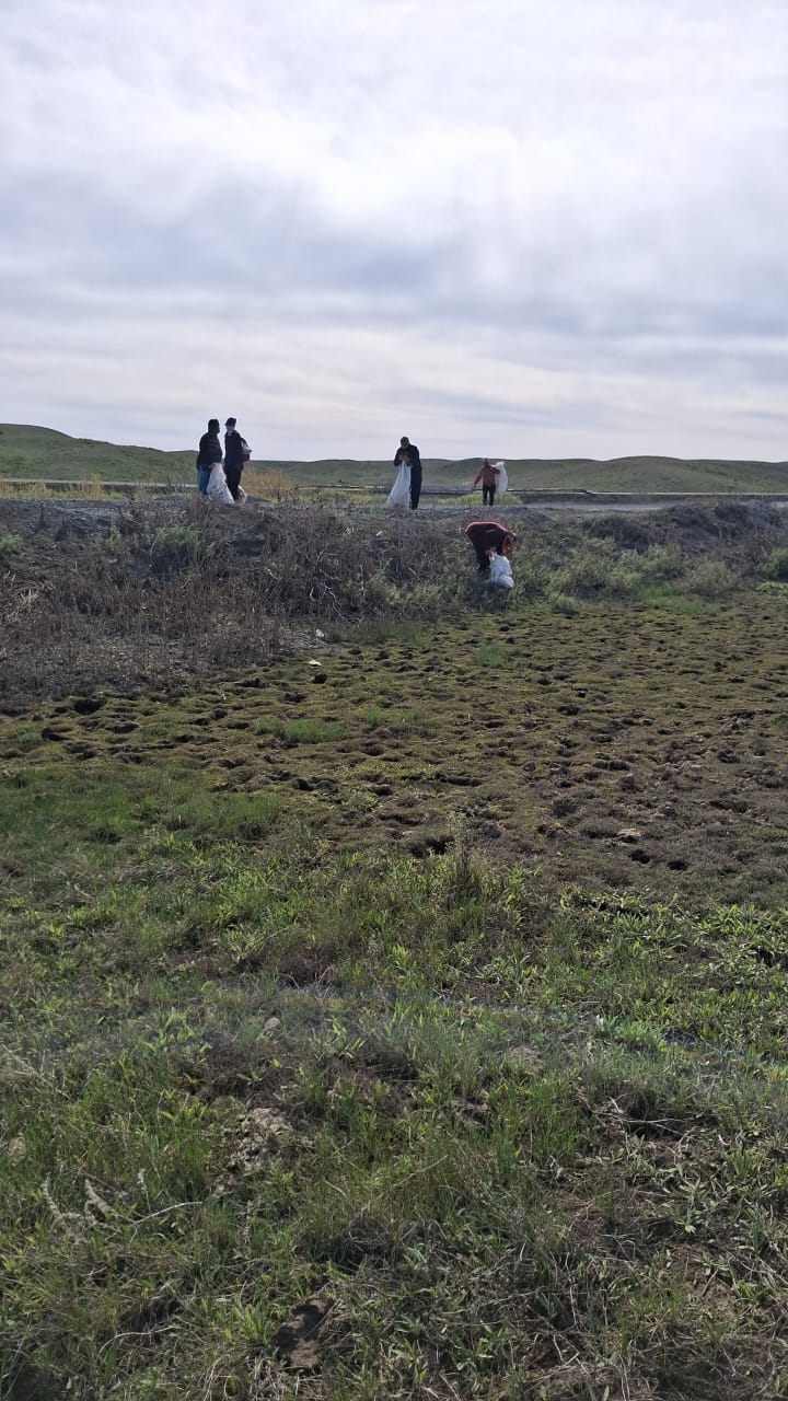 Сенбілік жұмыстары