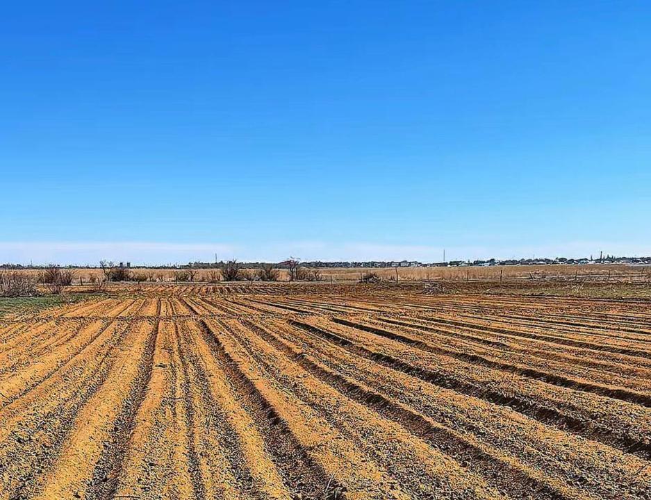 Шалқар ауданында көктемгі дала жұмыстары қарқын алды