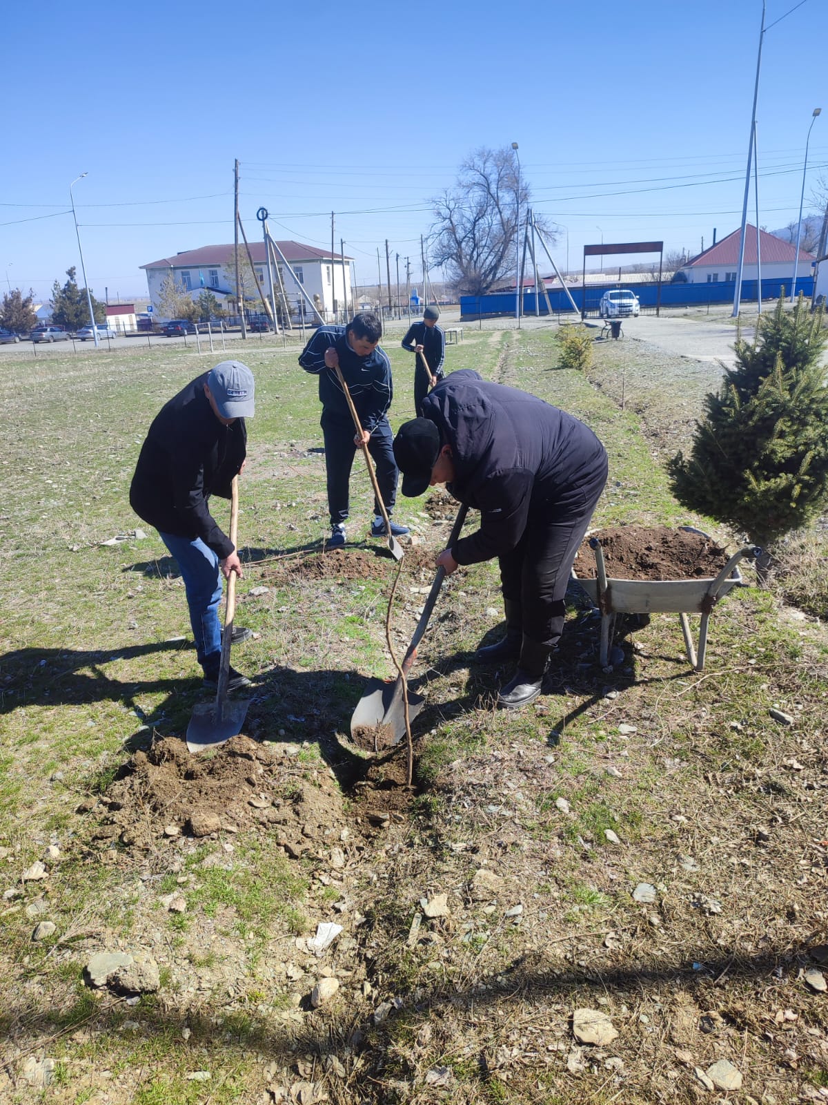 «Таза Қазақстан» акциясы аясында ағаш отырғызу жұмыстары өтті
