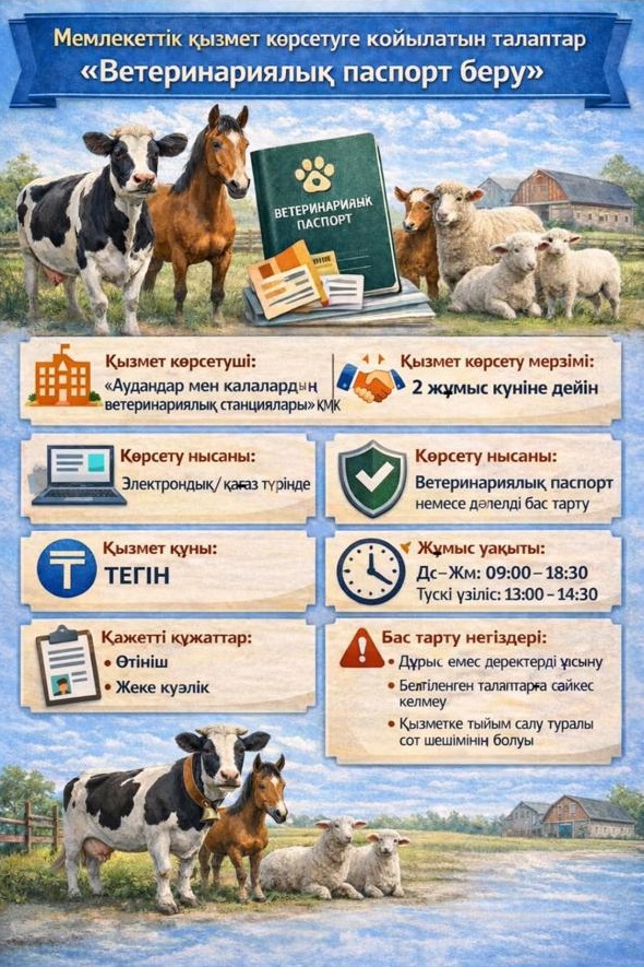 Инфографика