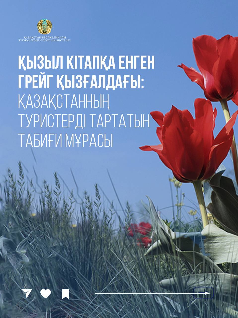 Қызыл кітапқа енген Грейг қызғалдағы: Қазақстанның туристерді тартатын табиғи мұрасы