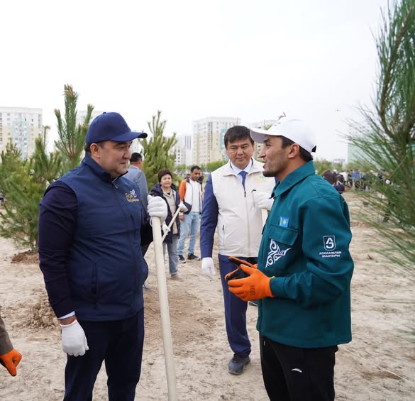 «ТАЗА ҚАЗАҚСТАН»: ТҮРКІСТАНДА ӨТКЕН АУҚЫМДЫ ЭКОАКЦИЯДА 2 МЫҢНАН АСТАМ АҒАШ ЕГІЛДІ