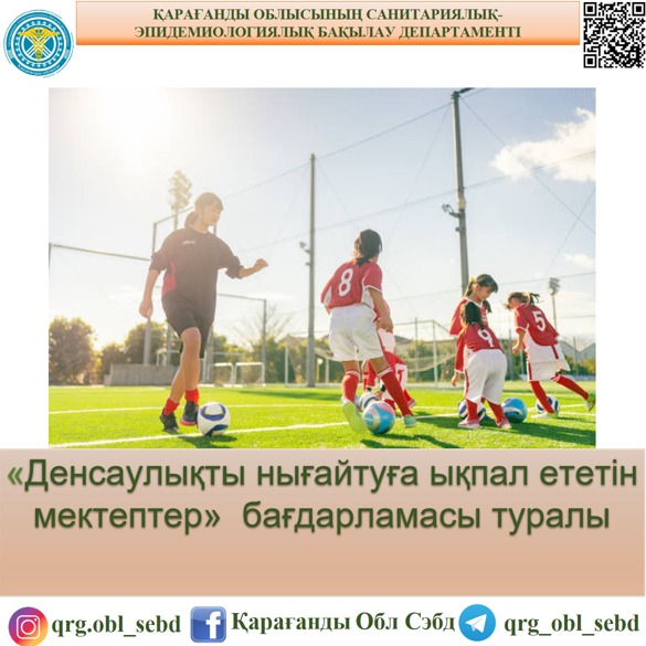 «Денсаулықты нығайтуға ықпал ететін мектептер»  бағдарламасы туралы