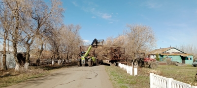 16 апреля 2026 года Акция "Таза Қазақстан"