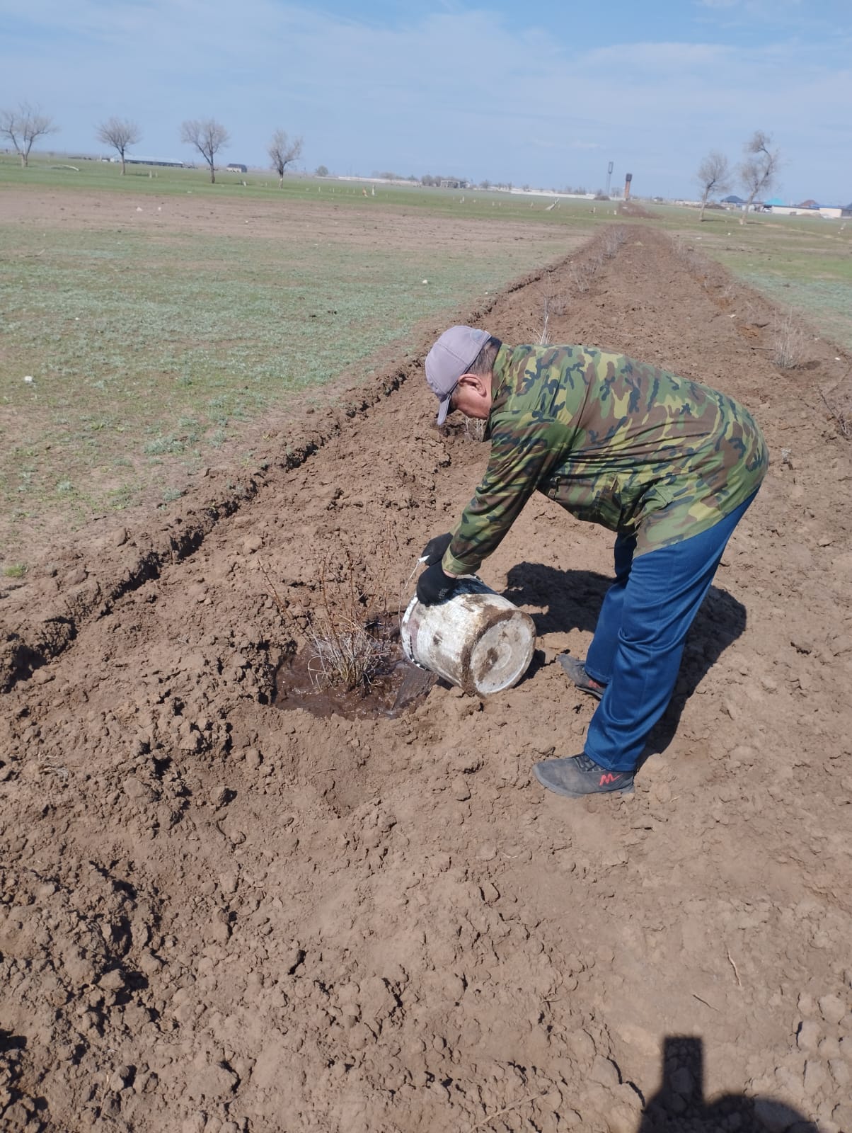 "ЖАСЫЛ БЕЛДЕУ" - САРЫЖАР АУЫЛЫНДА