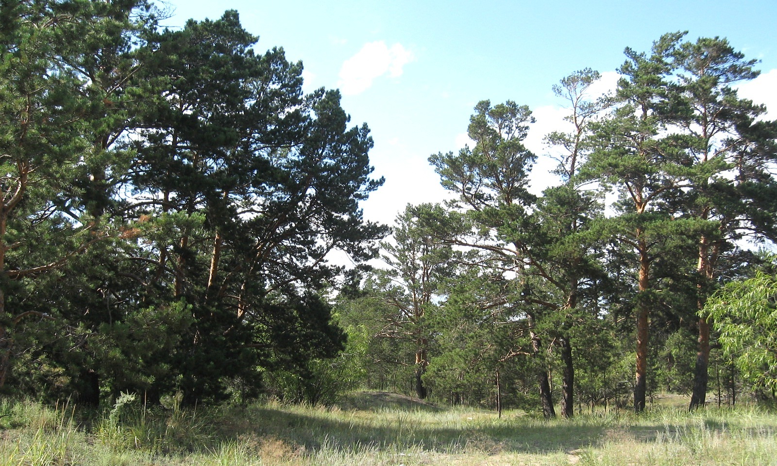 Шығыс Қазақстанда үш экопарк құрылады