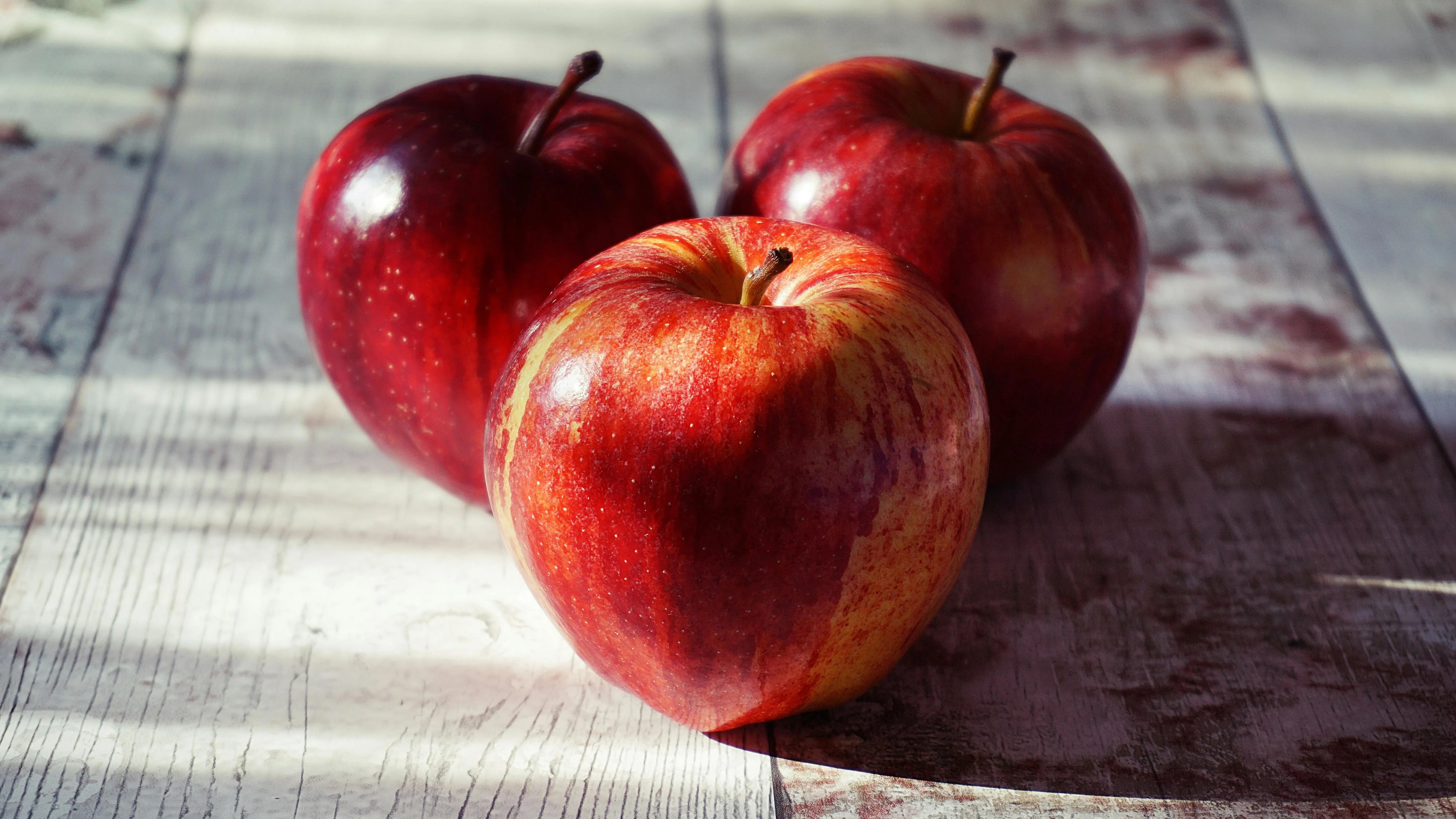 Дело о хищении бюджетных средств при реализации программы садоводства направлено в суд