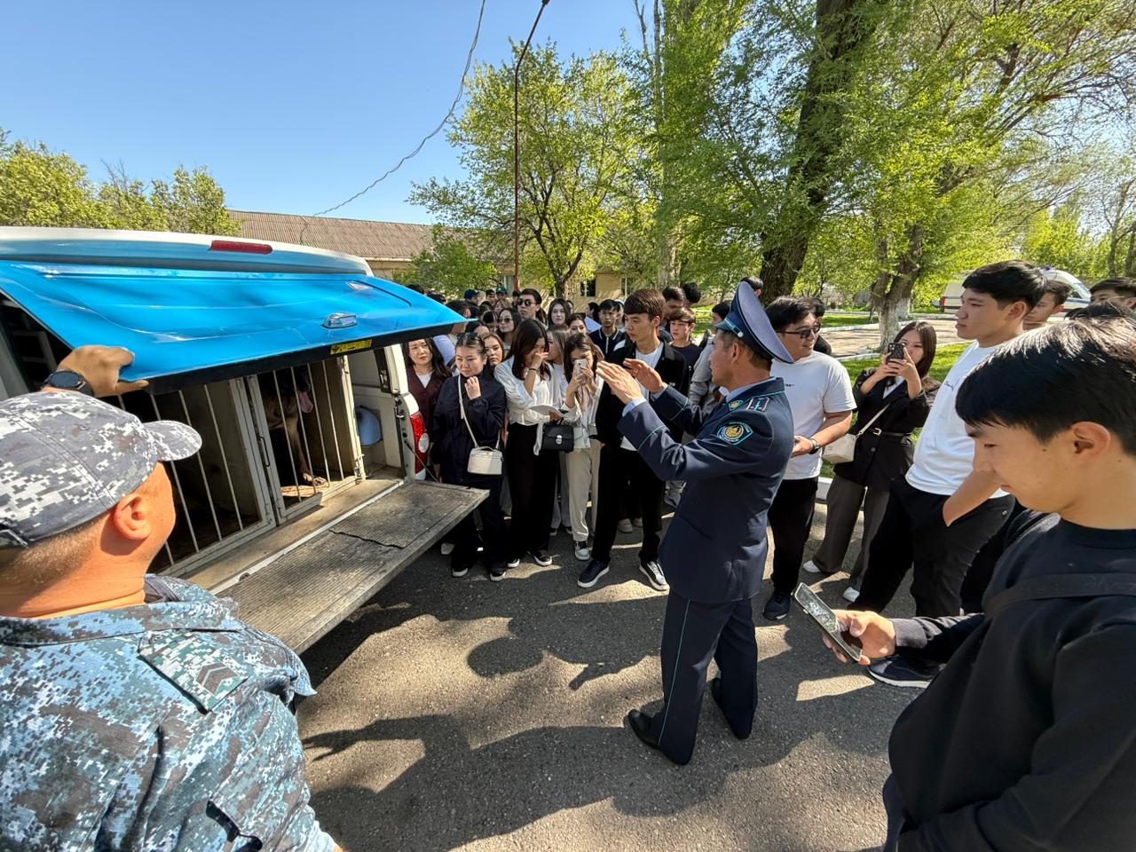 В Таразе продемонстрировали работу четвероногих помощников в борьбе с наркопреступностью