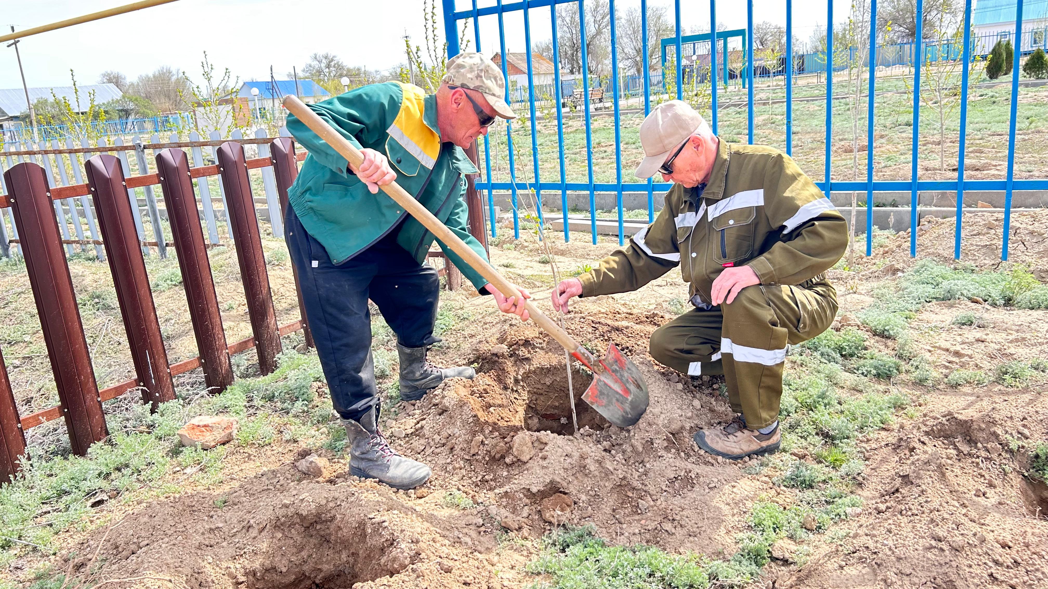"Жалпыұлттық тал отырғызу" күні
