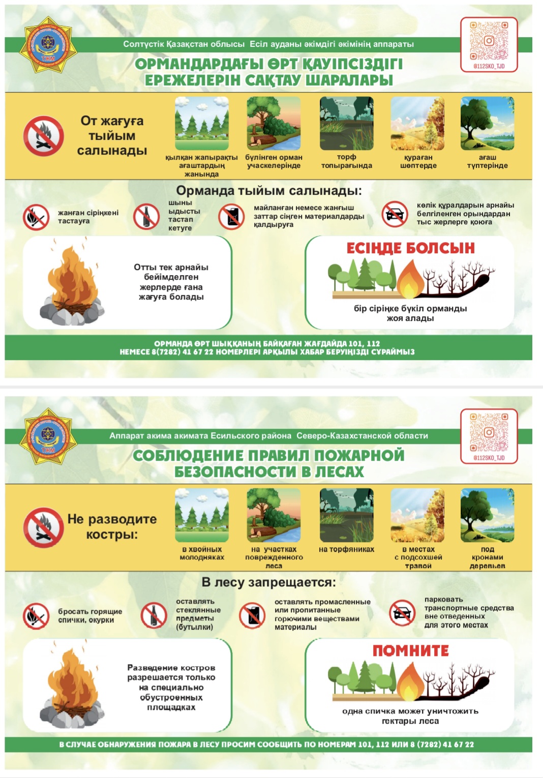соблюдение правил пожарной безопасности в лесах