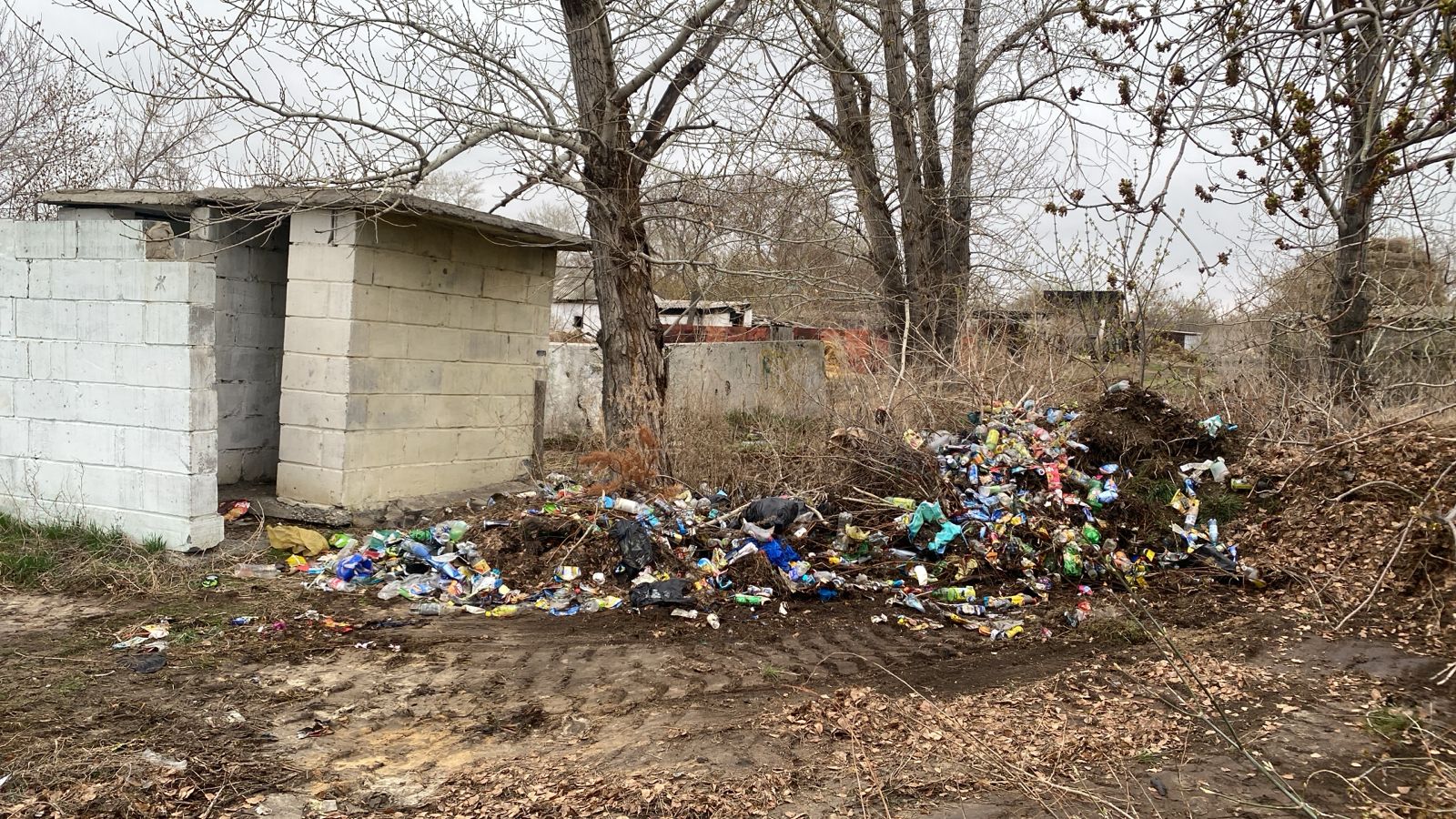 Таза Қзақстан