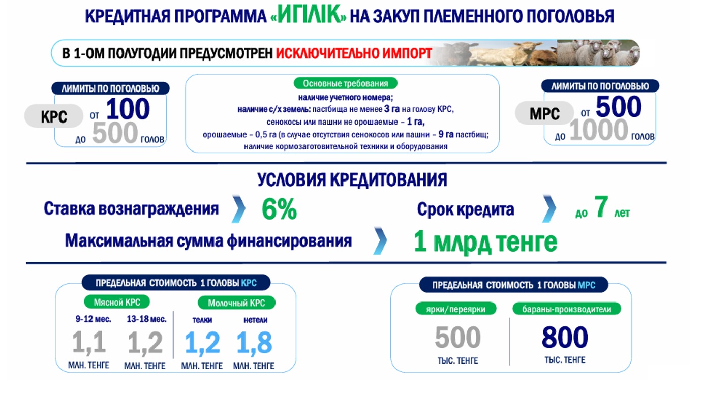 Фермеры смогут купить породистый скот в кредит под 6%