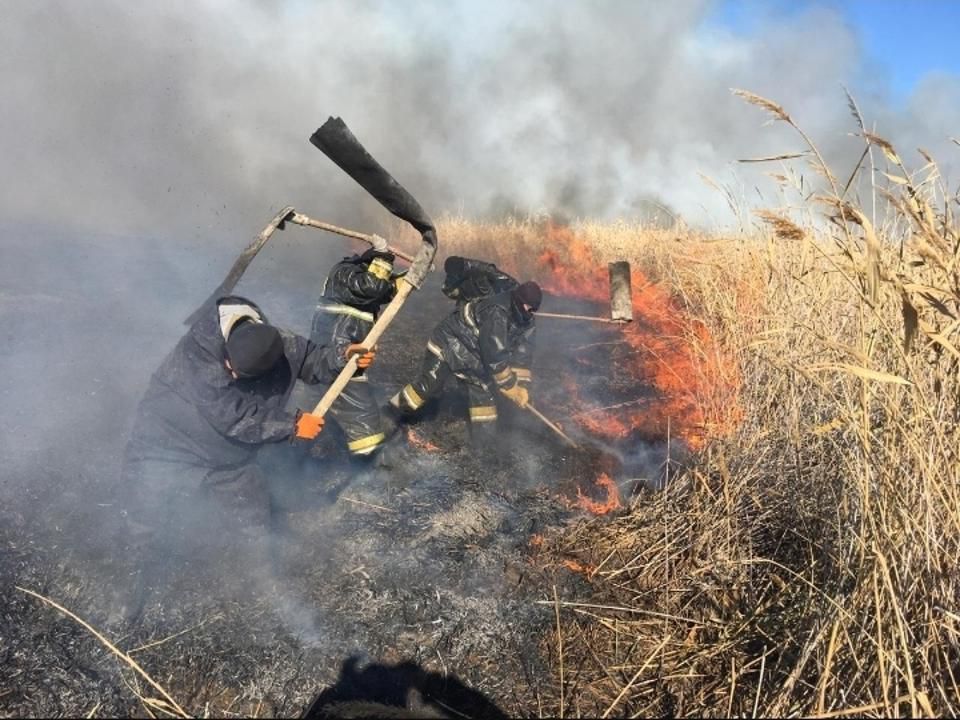 Ауылшаруашылық сарайлары: заң талаптары және бұзушылықтар үшін жауапкершілік