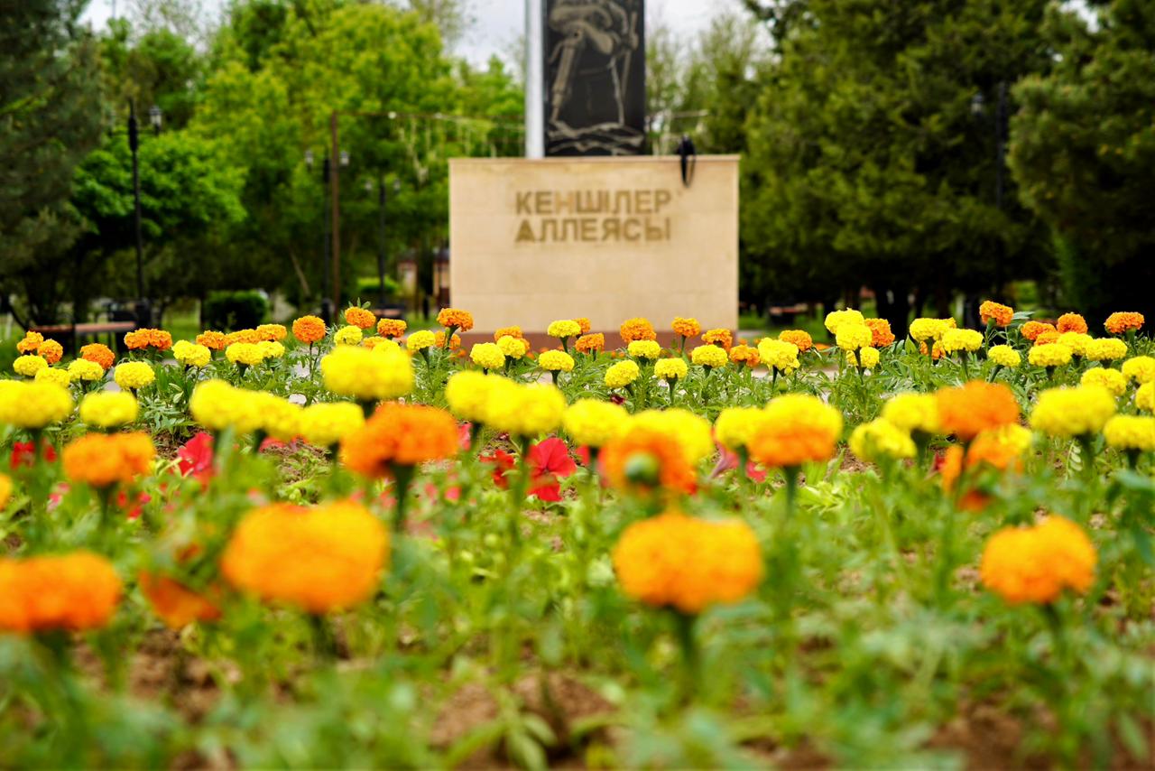 ТҮРКІСТАН: КЕНТАУДА АБАТТАНДЫРУ ЖӘНЕ КӨГАЛДАНДЫРУ ЖҰМЫСТАРЫ ЖҮЙЕЛІ ТҮРДЕ ЖҮРГІЗІЛУДЕ