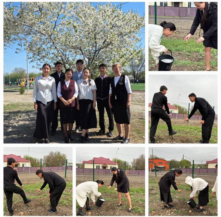 «Қамқор» жобасы аясында мектептің 11-сынып түлектері арасында «Түлектердің ағаш егуі» атты эко-челлендж ұйымдастырылды.