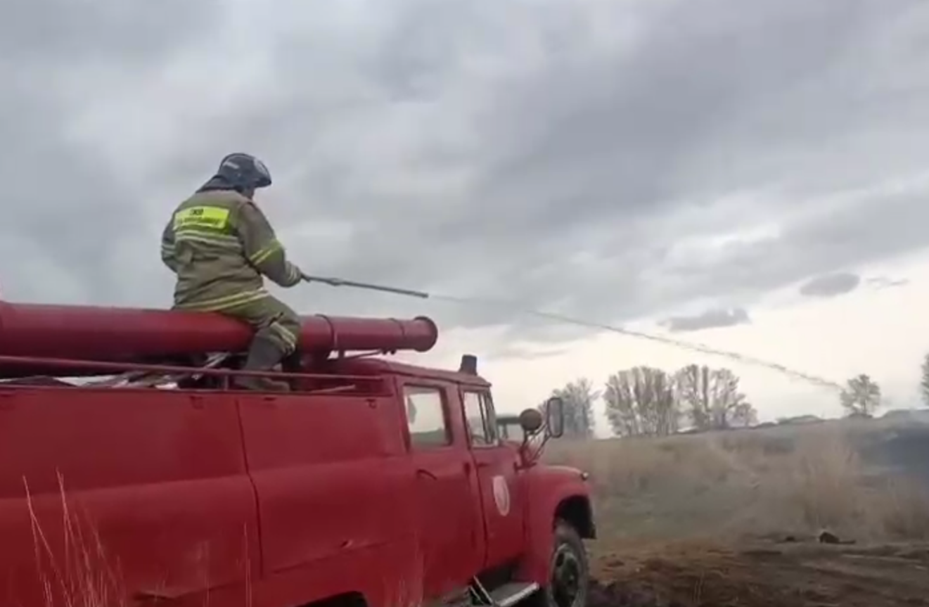 «Ауыл құтқарушылары» қамыс өртенуін сөндірді