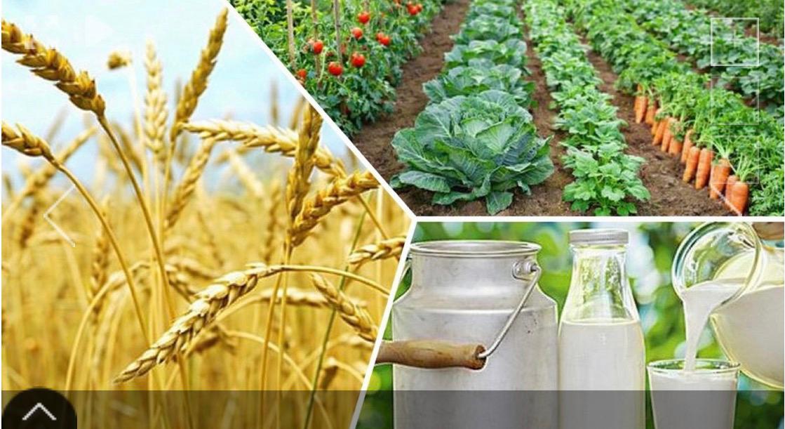 Соңғы 5 жылда тіркелген ауыл шаруашылығы кооперативтерінің саны 53%-ға өсіп.