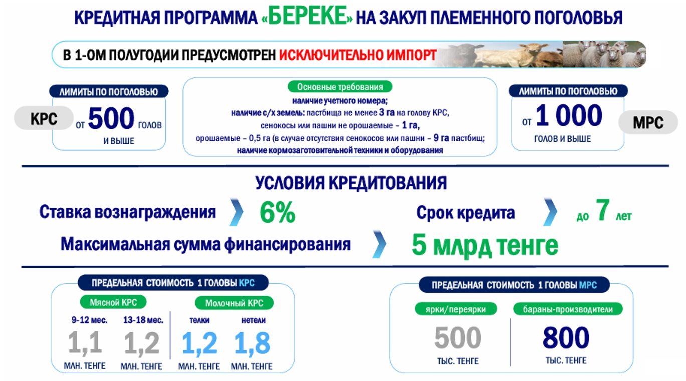 Фермерлер асыл тұқымды малды 6%-бен несиеге сатып ала алады