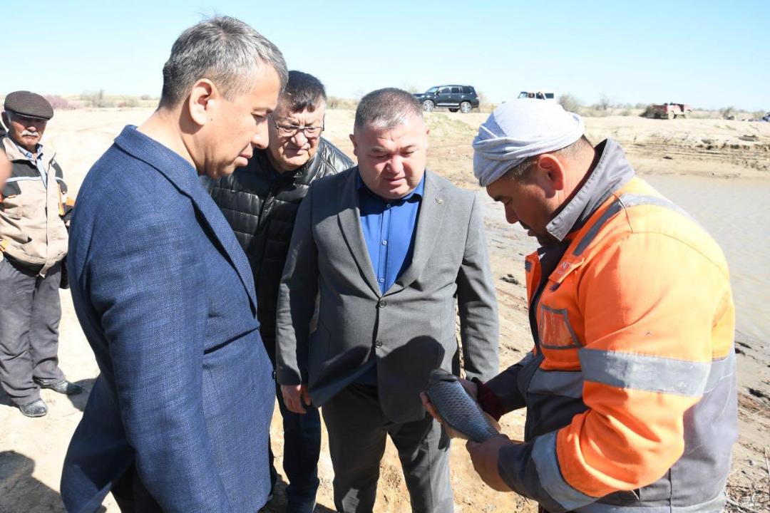 Басықара тоғанындағы балық шабақтары жаздық тоғанға жіберілуде