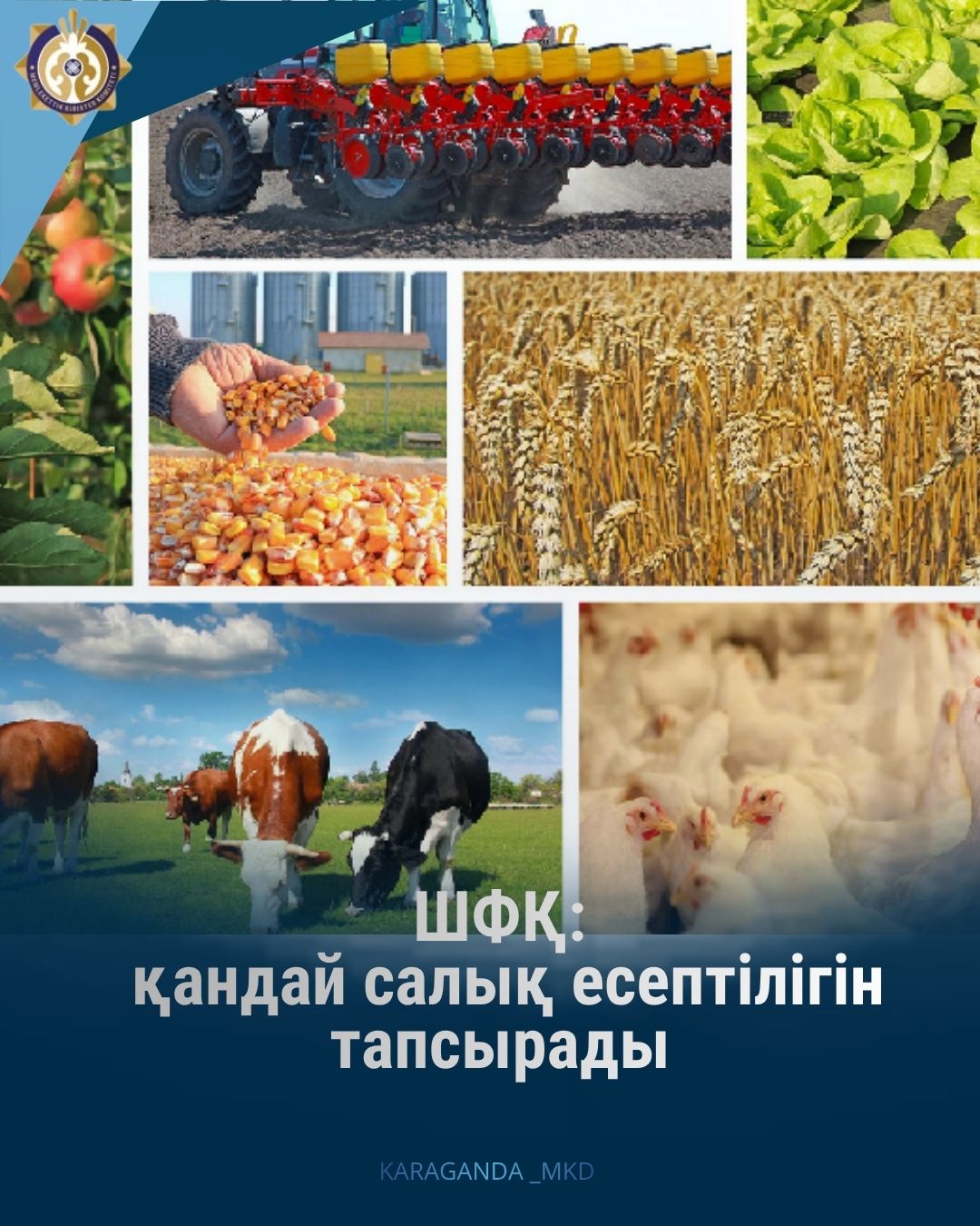 Шаруа және фермер қожалықтары: қандай салық есептілігін тапсырады.