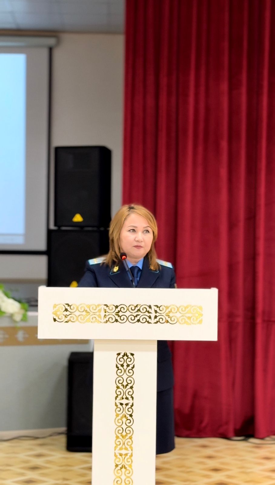 Азаматтық тәлімгерлік жобасы