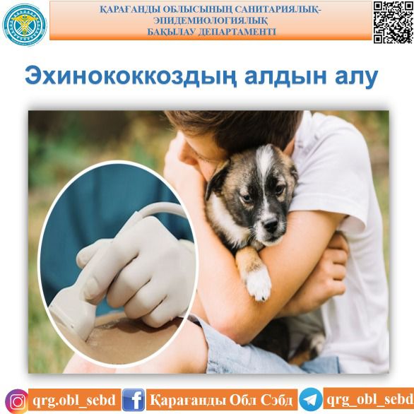 Эхинококкоздың алдын алу